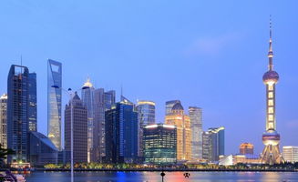 上海自由貿易港區(qū)對國際最高開放標準